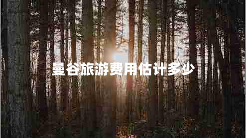 曼谷旅游費(fèi)用估計(jì)多少