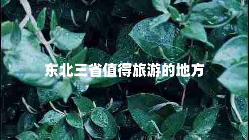東北三省值得旅游的地方 東北三省值得旅游的地方