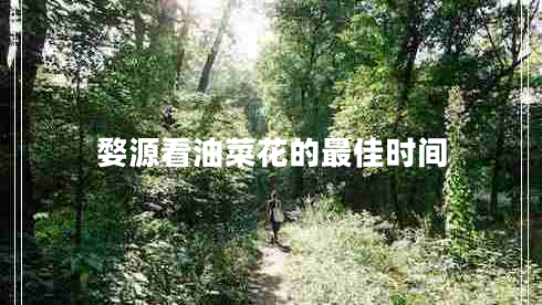 婺源看油菜花的最佳時間
