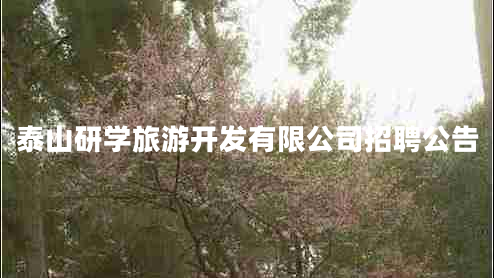 泰山研學(xué)旅游開(kāi)發(fā)有限公司招聘公告
