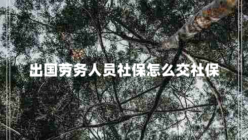 出國勞務人員社保怎么交社保