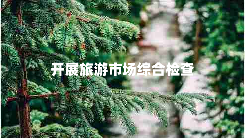 開展旅游市場(chǎng)綜合檢查