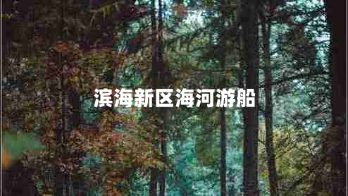 濱海新區(qū)海河游船