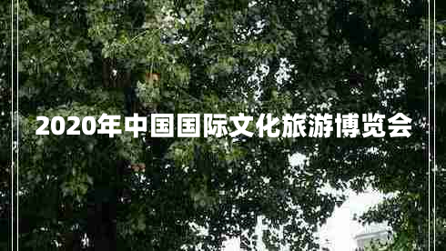 2020年中國(guó)國(guó)際文化旅游博覽會(huì)