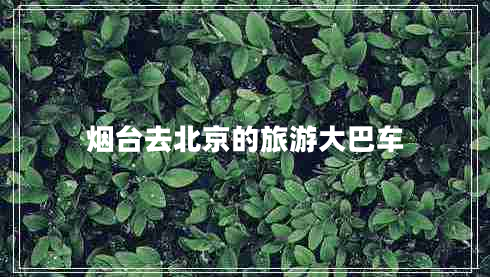 煙臺去北京的旅游大巴車