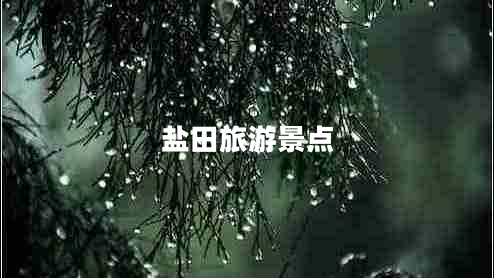 鹽田旅游景點