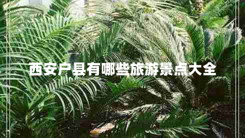 西安戶縣有哪些旅游景點大全