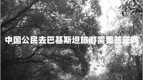 中國(guó)公民去巴基斯坦旅游需要簽證嗎