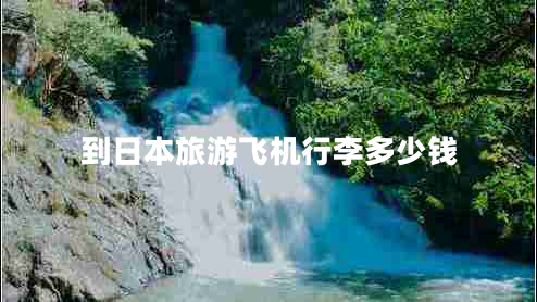 到日本旅游飛機行李多少錢