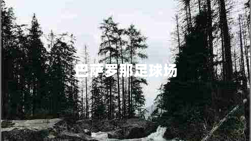 巴薩羅那足球場