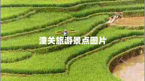 潼關(guān)旅游景點圖片