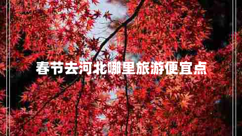 春節(jié)去河北哪里旅游便宜點(diǎn)