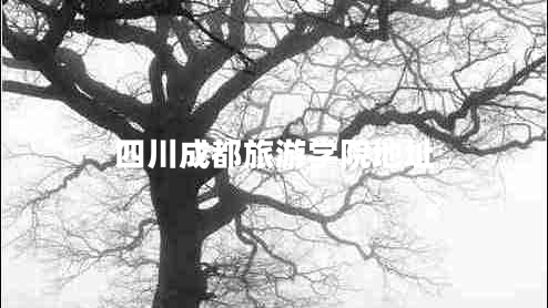 四川成都旅游學院地址