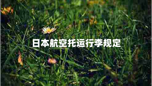 日本航空托運行李規(guī)定