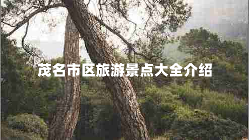 茂名市區(qū)旅游景點(diǎn)大全介紹 茂名市區(qū)旅游景點(diǎn)大全介紹