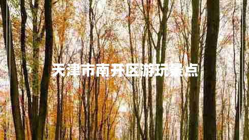 天津市南開(kāi)區(qū)游玩景點(diǎn)