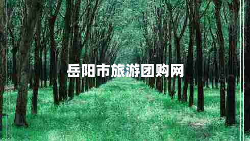 岳陽市旅游團(tuán)購網(wǎng)