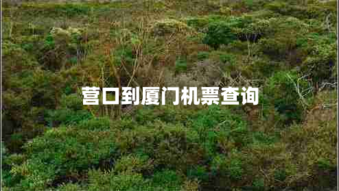 營(yíng)口到廈門(mén)機(jī)票查詢