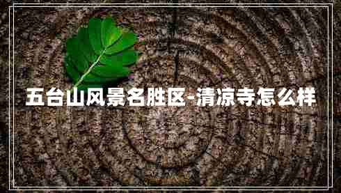 五臺山風(fēng)景名勝區(qū)-清涼寺怎么樣