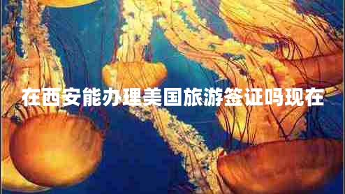 在西安能辦理美國旅游簽證嗎現(xiàn)在 在西安能辦理美國旅游簽證嗎現(xiàn)在
