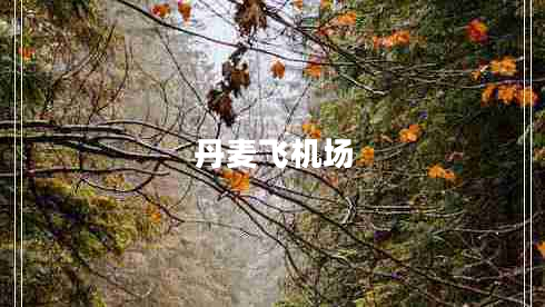 丹麥飛機(jī)場(chǎng)