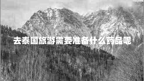 去泰國(guó)旅游需要準(zhǔn)備什么藥品呢