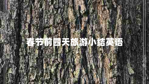春節(jié)前四天旅游小結(jié)英語