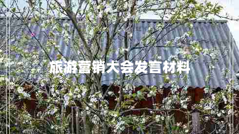 旅游營(yíng)銷大會(huì)發(fā)言材料