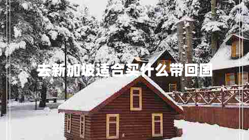 去新加坡適合買(mǎi)什么帶回國(guó)
