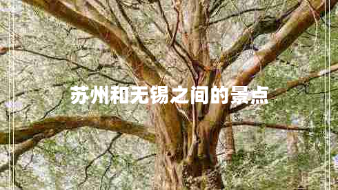 蘇州和無錫之間的景點(diǎn)