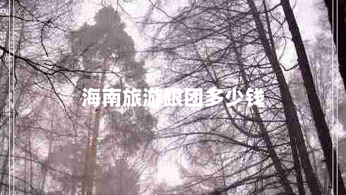 海南旅游跟團多少錢