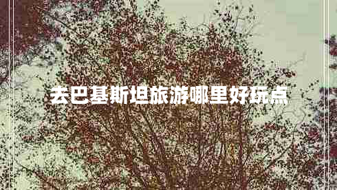 去巴基斯坦旅游哪里好玩點