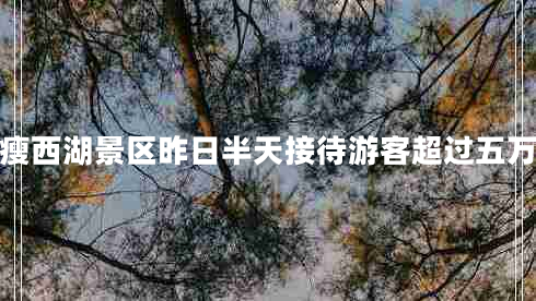據(jù)統(tǒng)計(jì)瘦西湖景區(qū)昨日半天接待游客超過五萬人左右
