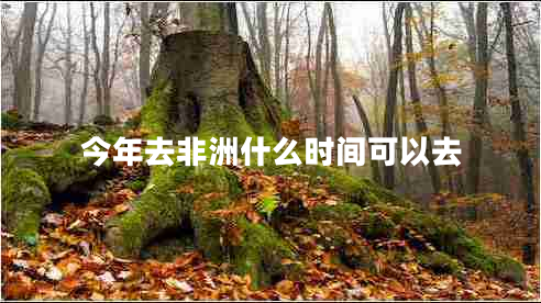 今年去非洲什么時(shí)間可以去 今年去非洲什么時(shí)間可以去