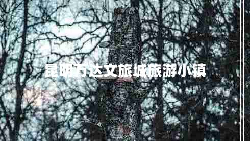 昆明萬(wàn)達(dá)文旅城旅游小鎮(zhèn) 昆明萬(wàn)達(dá)文旅城旅游小鎮(zhèn)