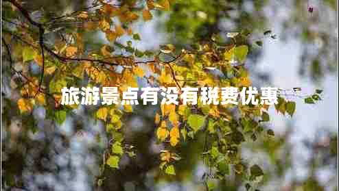 旅游景點(diǎn)有沒有稅費(fèi)優(yōu)惠
