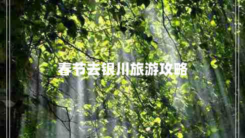 春節(jié)去銀川旅游攻略