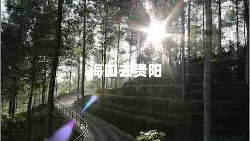 ?？谌ベF陽