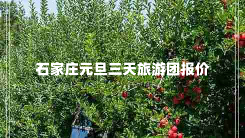 石家莊元旦三天旅游團(tuán)報價