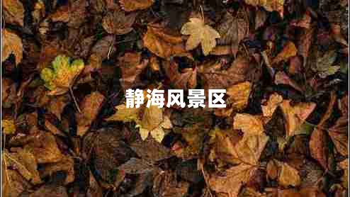 靜海風(fēng)景區(qū)