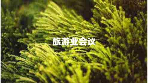旅游業(yè)會(huì)議