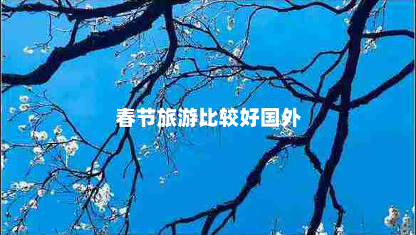 春節(jié)旅游比較好國(guó)外