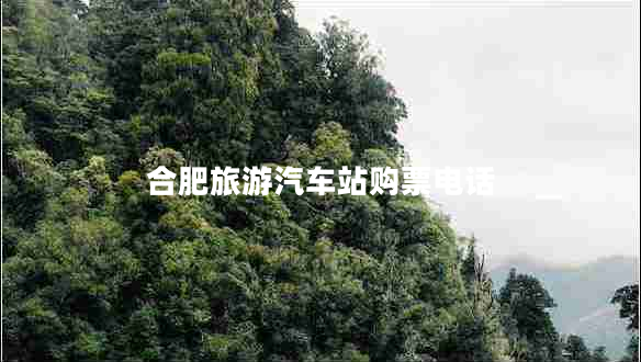 合肥旅游汽車站購(gòu)票電話
