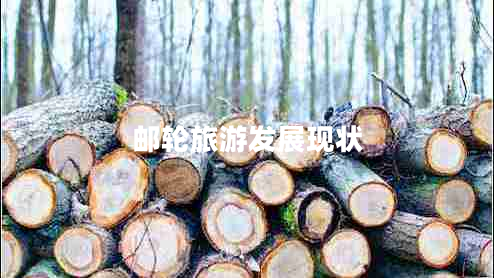 郵輪旅游發(fā)展現(xiàn)狀 郵輪旅游發(fā)展現(xiàn)狀