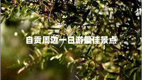 自貢周邊一日游最佳景點