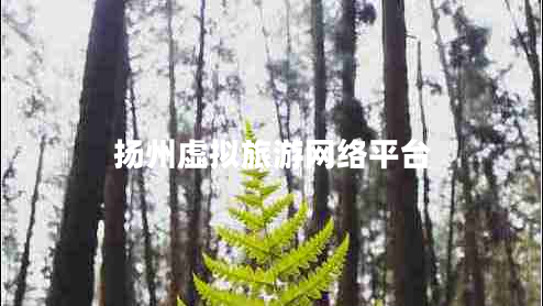揚州虛擬旅游網(wǎng)絡平臺
