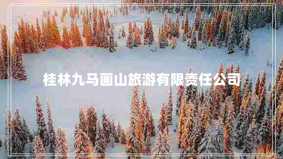 桂林九馬畫山旅游有限責任公司