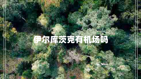 伊爾庫(kù)茨克有機(jī)場(chǎng)嗎