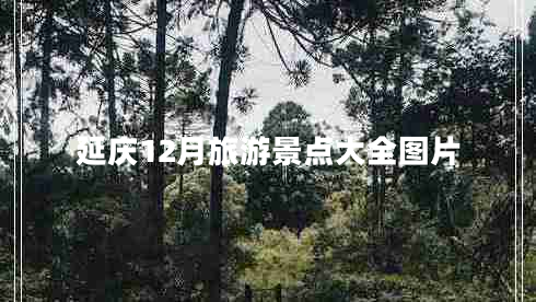 延慶12月旅游景點大全圖片