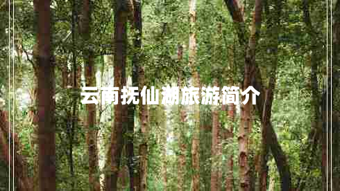 云南撫仙湖旅游簡介